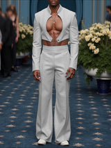 Men's Shiny Cropped Stand Collar Two Pieces Outfit SKUL25739