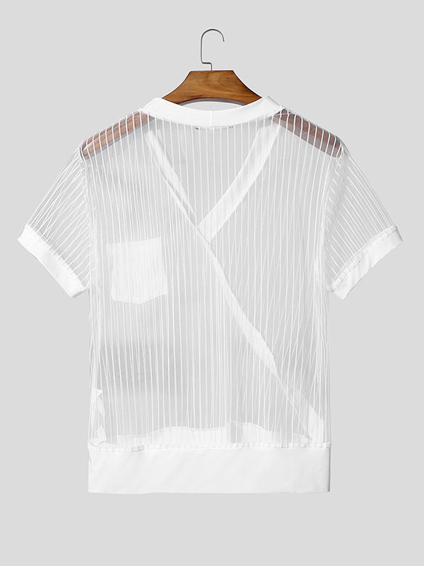 Mens Sheer Striped Short Sleeve T-Shirt SKUL16905
