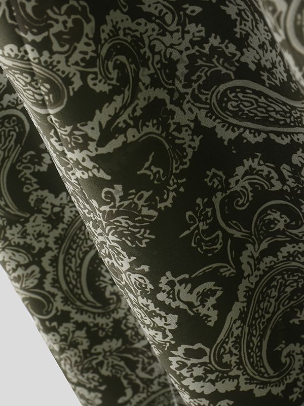 Men's Paisley Print Casual Pant SKUL50522