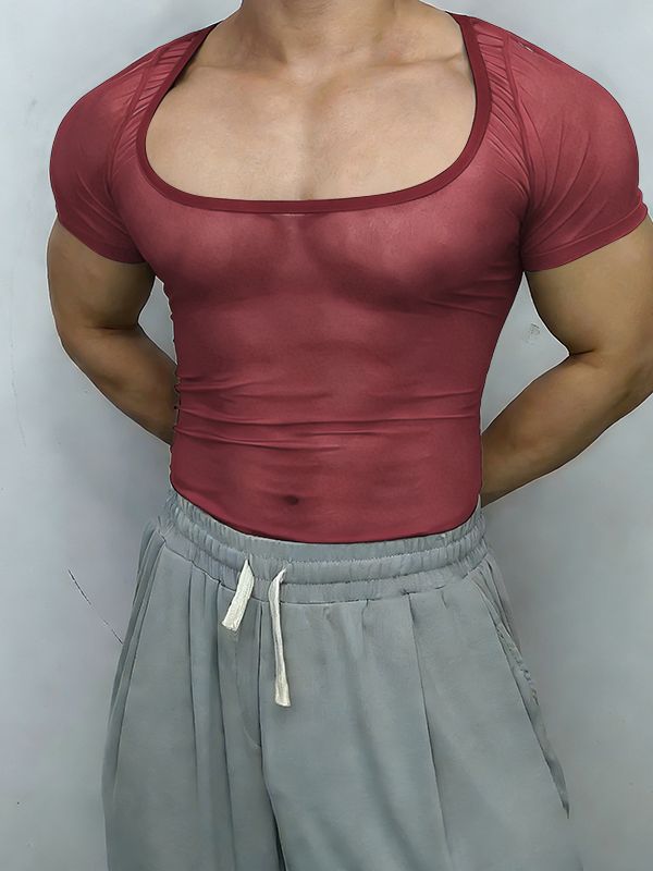 Men's Sheer Mesh Crew Neck Long Sleeve T-shirt SKUL50051