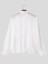 Men's Victorian Romance Sheer Chiffon Ruffled Mandarin Collar Shirt SKUL79733