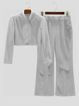 Men's Shiny Cropped Stand Collar Two Pieces Outfit SKUL25739