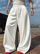 Men's Shiny Wide Leg Casual Pant SKUL36370