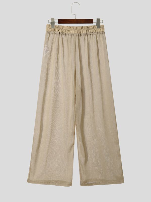 Men's Vintage Boho Sheer Mesh Plated Crinkled Loose Straight Wide Leg Pant SKUL70412