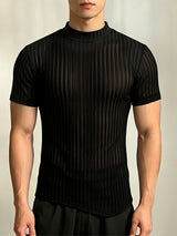Men's Avant-Garde High Street Sheer Trend Vertical Stripe Mesh Mock Neck T-shirt SKUL64165